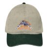 OTTO CAP "OTTO FLEX" 6 Panel Low Profile Dad Hat Thumbnail